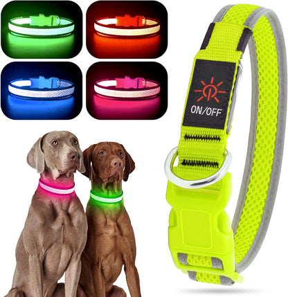 Light up Dog Collar, Rechargeable LED Dog Collar, Flashing Dog Collar, Adjustable Reflective Dog Collar Safety Glowing at Night (Green, Small)