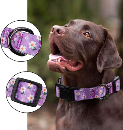 Girl Dog Collars Spring Cute Daisy Flower Pattern Lovely Print and American Flag Print Dog Collar