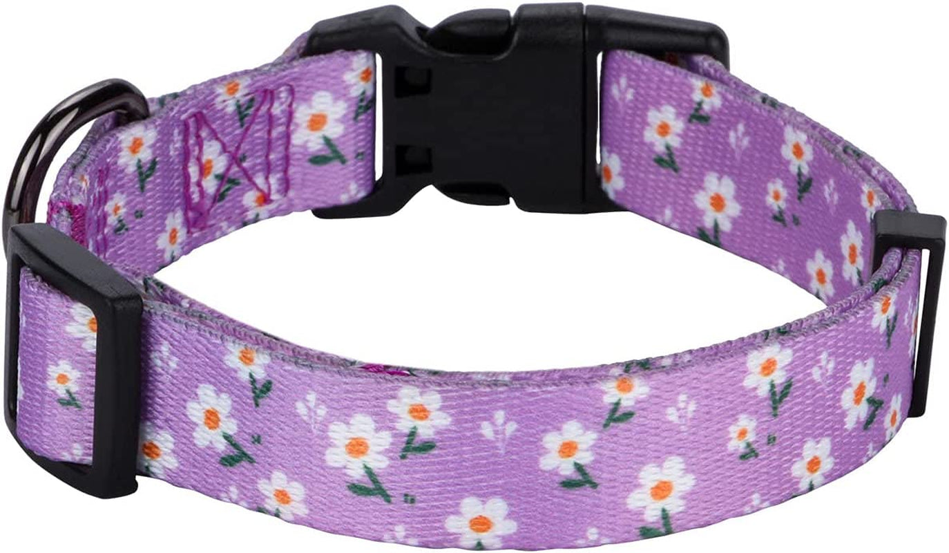 Girl Dog Collars Spring Cute Daisy Flower Pattern Lovely Print and American Flag Print Dog Collar